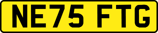 NE75FTG