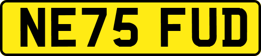 NE75FUD