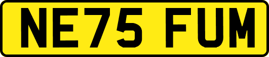 NE75FUM