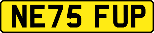 NE75FUP