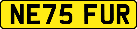 NE75FUR