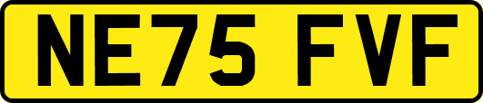 NE75FVF