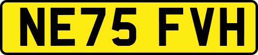 NE75FVH