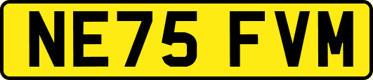 NE75FVM
