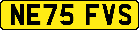 NE75FVS