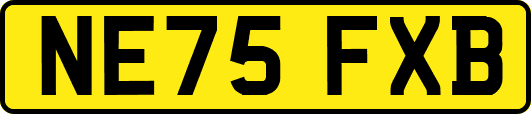 NE75FXB