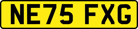 NE75FXG