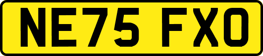 NE75FXO