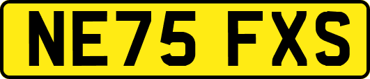 NE75FXS