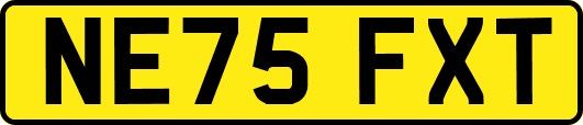 NE75FXT