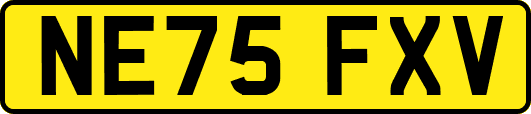 NE75FXV