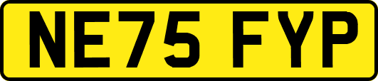 NE75FYP