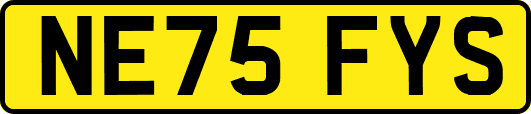 NE75FYS