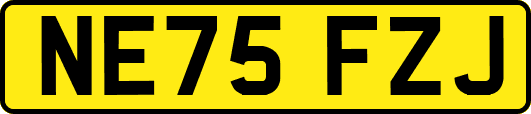 NE75FZJ