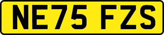 NE75FZS