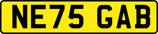 NE75GAB