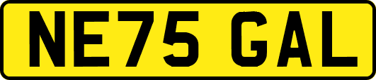 NE75GAL