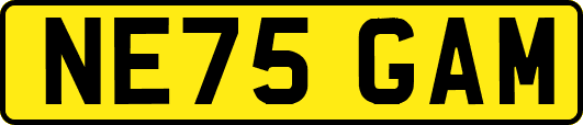 NE75GAM