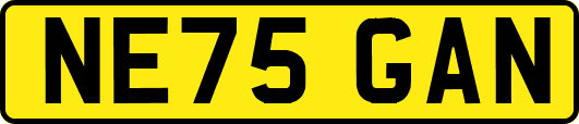 NE75GAN