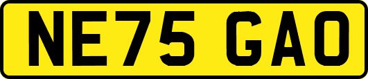 NE75GAO