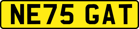 NE75GAT