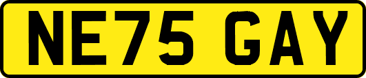 NE75GAY