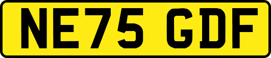 NE75GDF