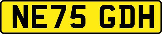 NE75GDH
