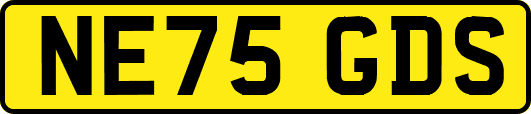 NE75GDS