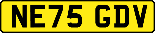NE75GDV