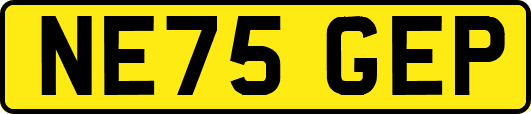 NE75GEP