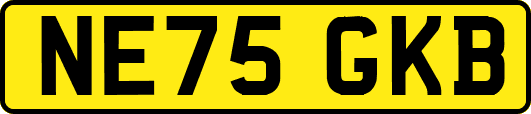 NE75GKB