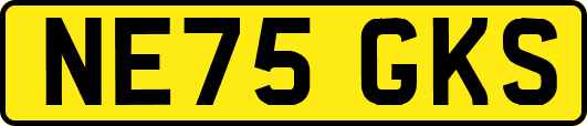NE75GKS