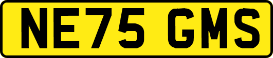 NE75GMS