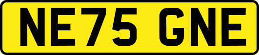 NE75GNE