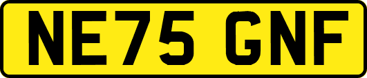 NE75GNF