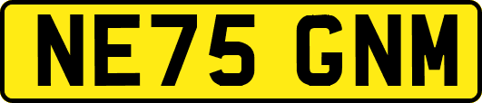 NE75GNM