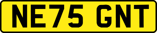 NE75GNT
