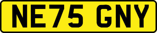 NE75GNY