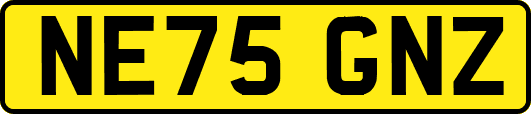 NE75GNZ