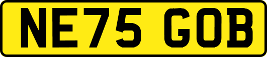 NE75GOB