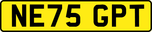 NE75GPT