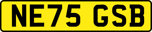 NE75GSB