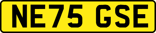 NE75GSE