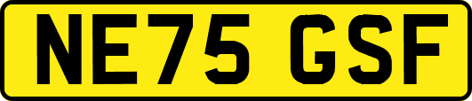 NE75GSF