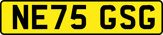 NE75GSG
