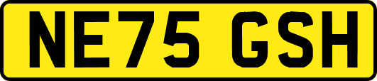 NE75GSH