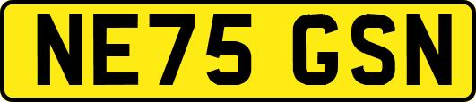 NE75GSN