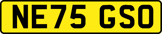 NE75GSO