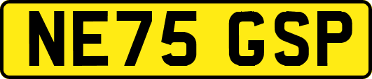 NE75GSP